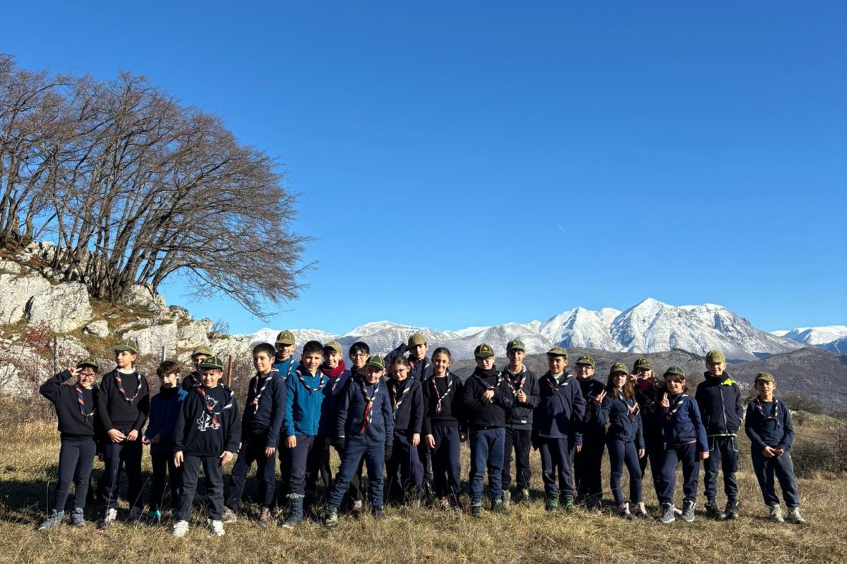 13da3236-7b9c-4946-a2eb-b401e6ad52b0 13da3236-7b9c-4946-a2eb-b401e6ad52b0